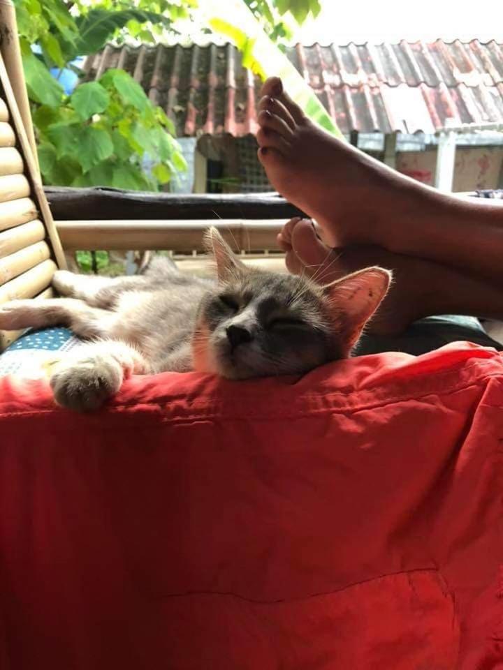 Angel Lanta Bungalow Koh Lanta Luaran gambar
